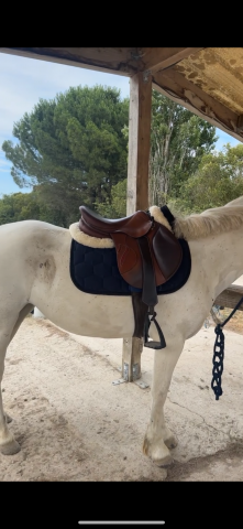 Selle antarès active 