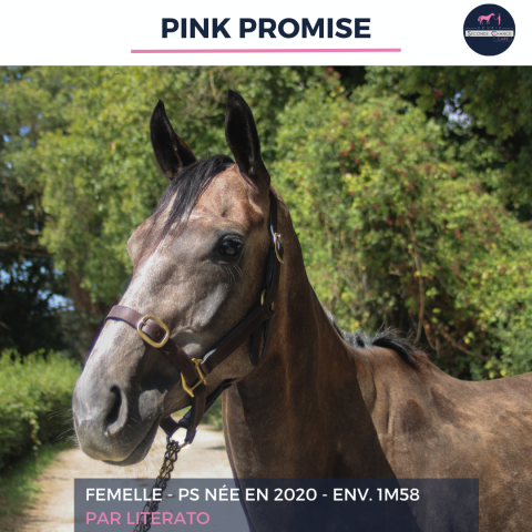 Pink promise - ps - 5 ans