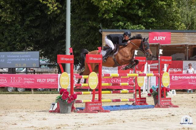 Jolie jument de sport de 6 ans