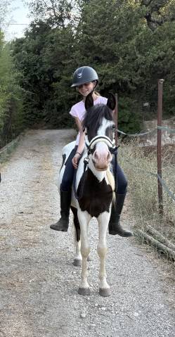 Poney d’1m35