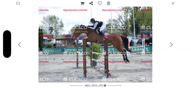 Jument 6 ans cso