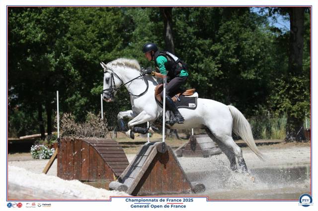 Poney d cce 