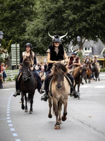Cheval islandais - heidar du léman