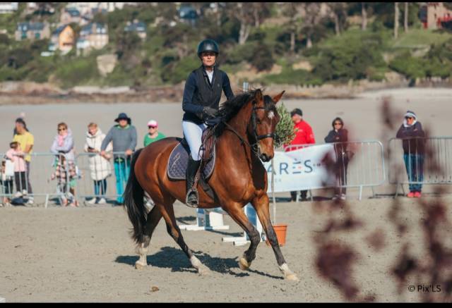 Poney e par perle des fontaines x carlson cso