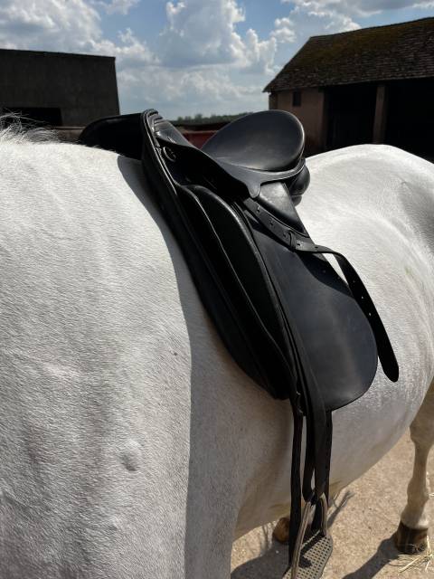 Selle dressage kieffer