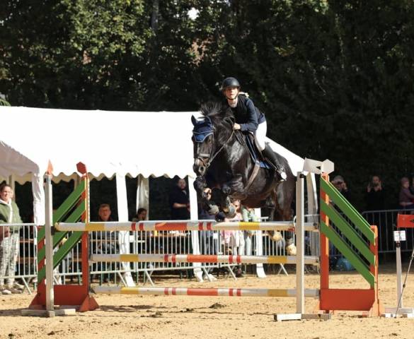Partenaire sportif talentueux / cheval junior/enfants