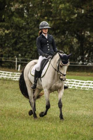 Poney pour cce et cso as2