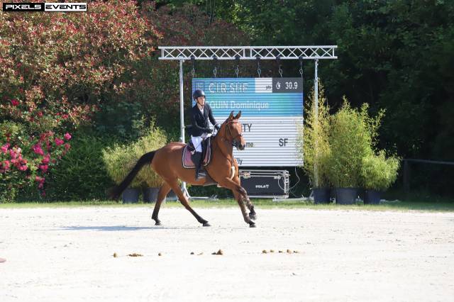 Jument 5 ans selle français