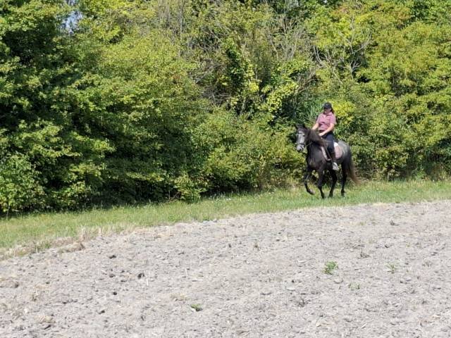 Ponette onc 1m45 4 ans