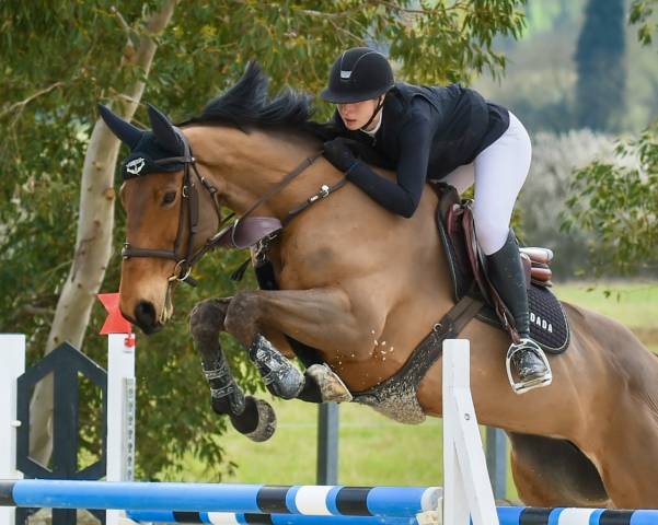 Jument cso amateur elite -135