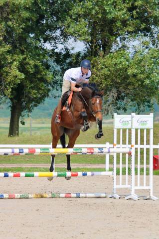 Kwpn 11 ans – 1m66 – cso 110 – idéale amateur – 13000 €