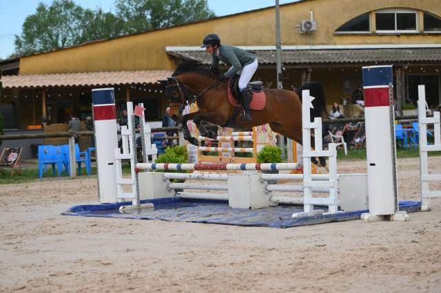 Jument de 6 ans cso