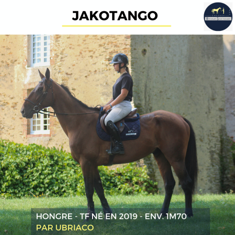 Jakotango - tf - 6 ans