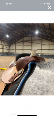 Selle western 