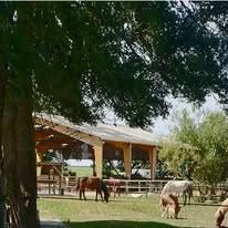 Pension équestre