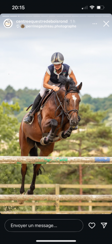 Jument 6 ans selle français 