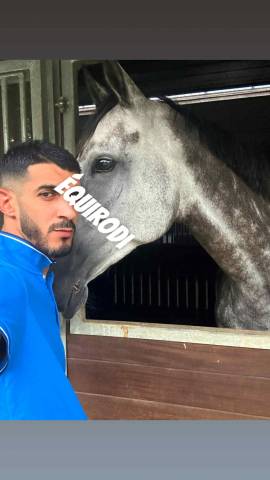 Sofien 36 ans palefrenier pour un poste logé