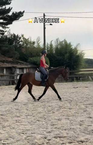 Oney de 7ans, 1m44 oncp