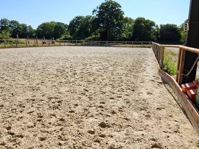 Pension box/paddock cheval 