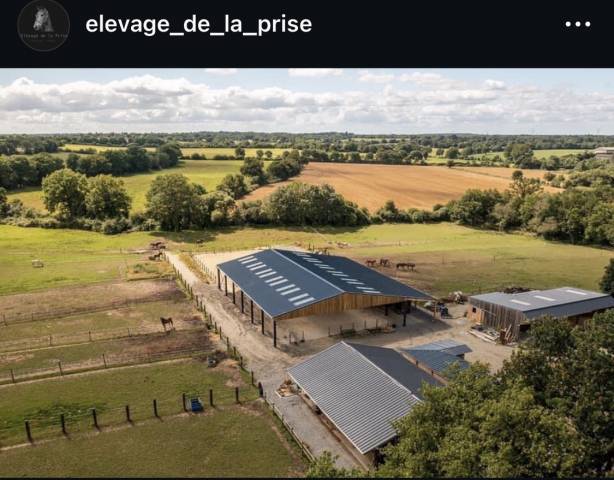 Pension box/paddock/pré cheval 