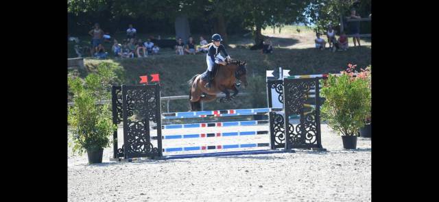 Poney de sport