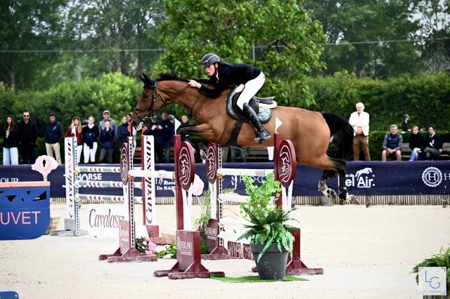 Jument 9ans (kannan x drakkar des hutins) potentiel 145