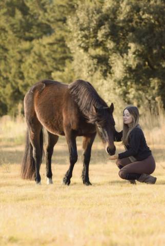 Loustic de la planèze  - poney à vendre 