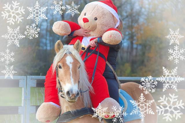 La méthode équine impériale vous présente....