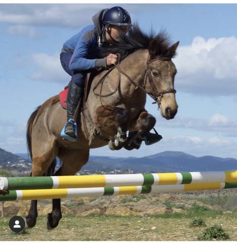 Poney a vendre 