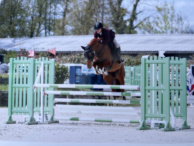 Poney potentiel gd prix