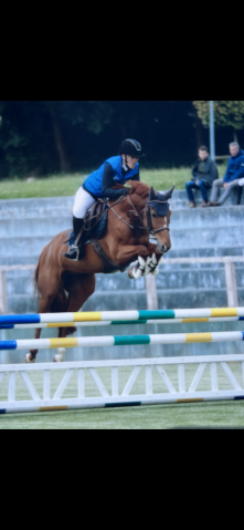 Poney potentiel as1 / as élite