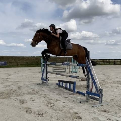 Cheval sf 9ans à vendre