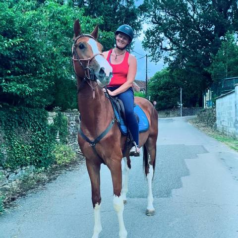 Mephysto d'aphrodite : étalon sf