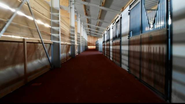 Haras des halliers