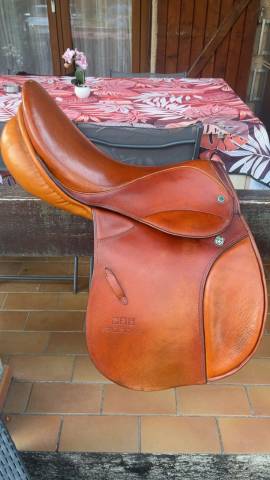 Selle stubben 