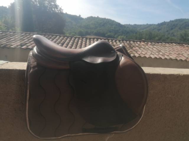 Selle hervé godignon