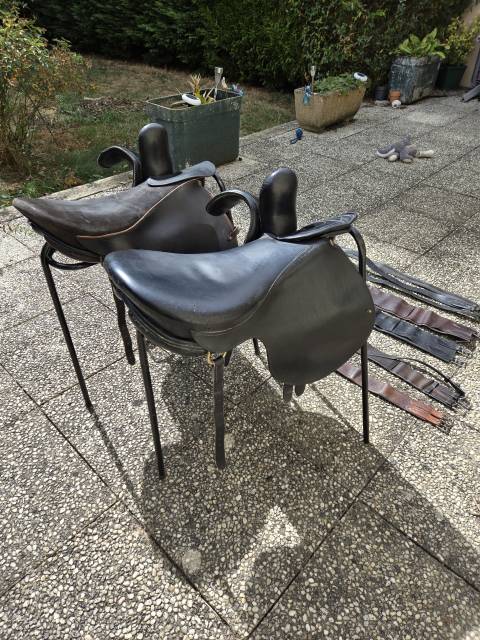 1 lot de 2 selles amazones phoenix avec équipements 