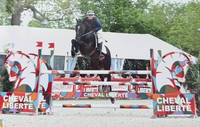 Superbe hongre 9 ans