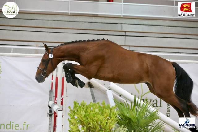 Cheval