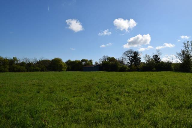 4 hectares de champ avec hangar et eau