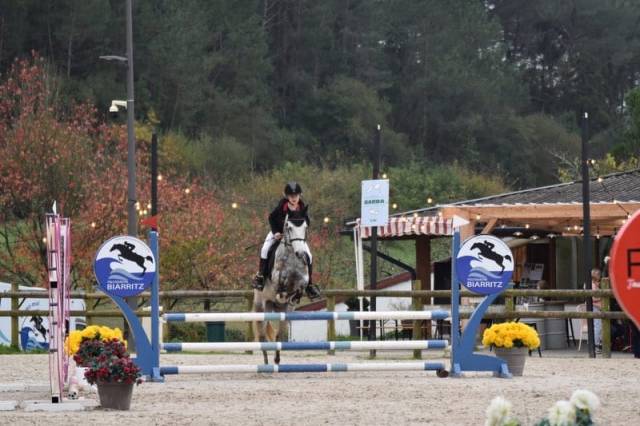 Ponette connemara 8 ans