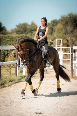 Cheval d'exception pre