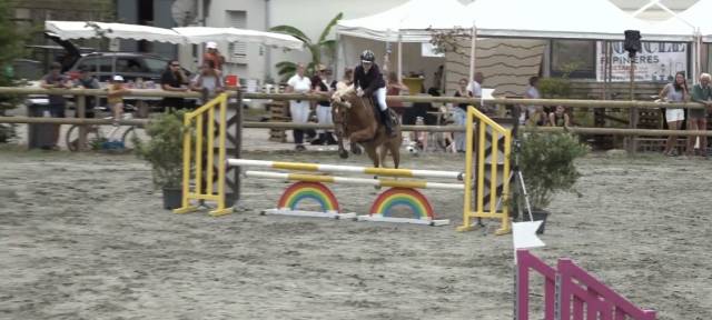 Poney de sport à vendre - pfs de 10 ans