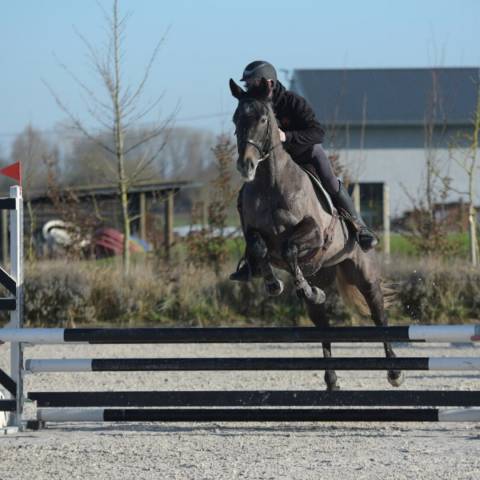 Ilango - 5ans - 1m70]