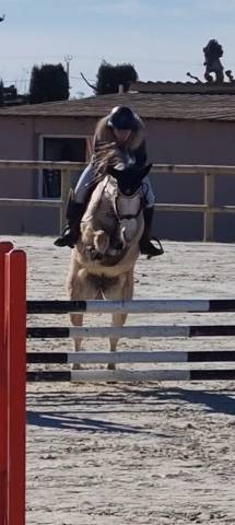 Ponette