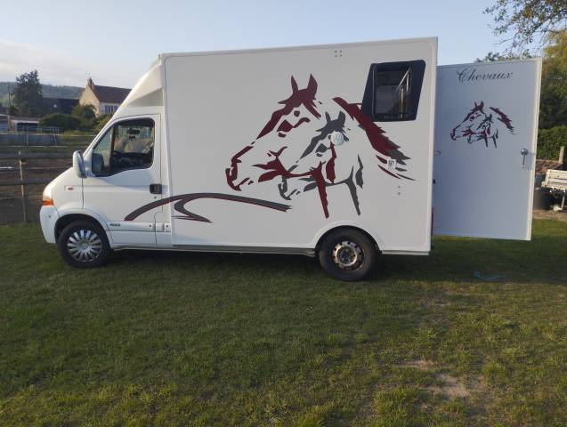 Camion chevaux vl renault master 