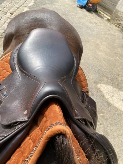 Selle gbs équipée