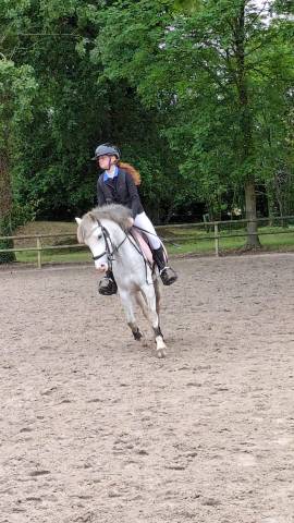 Ponette b 4 ans