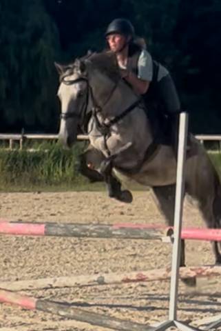 Ponette d