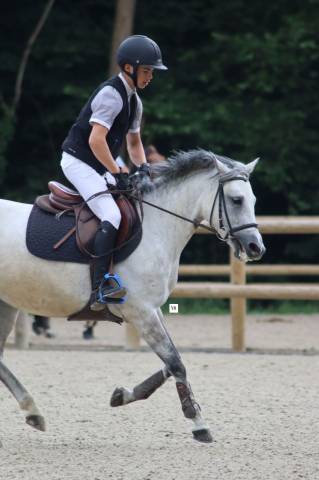 A vendre ponette 6ans welsh part-bred